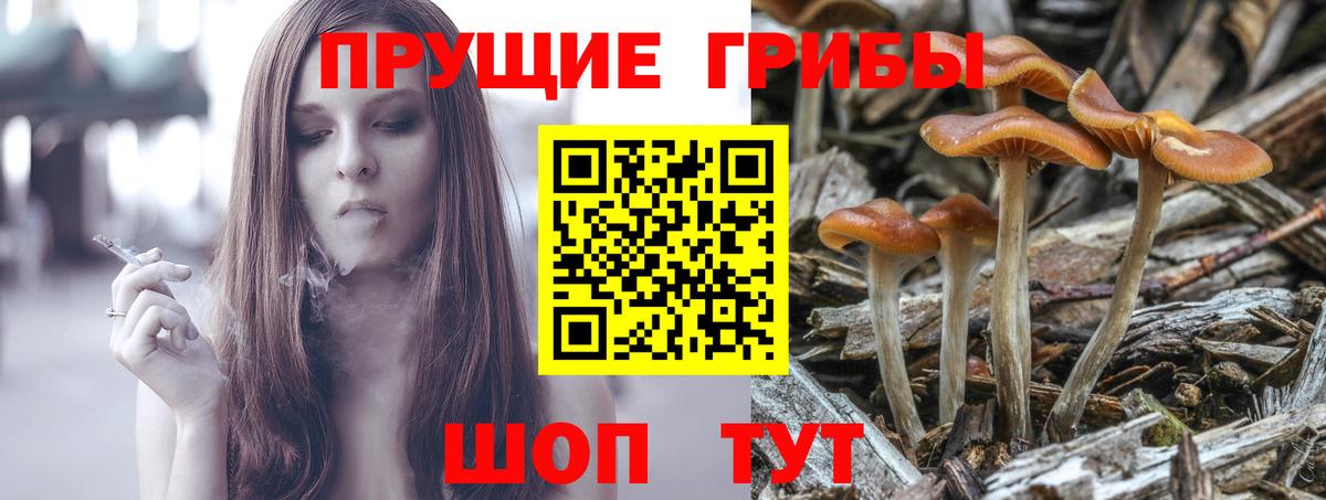 Псилоцибиновые грибы MAGIC MUSHROOMS Ростов Великий